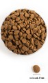 acana-dog-adult-large-breed-rozmiar-chrupek.jpg
