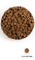 acana-dog-light-fit-dog-rozmiar-chrupek.jpg