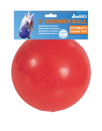 Boomer Ball - niezniszczalna piłka dla psa
