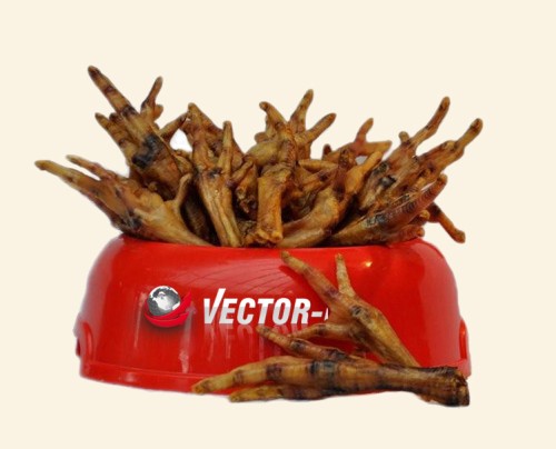 Vector Food Stopki kurze suszone